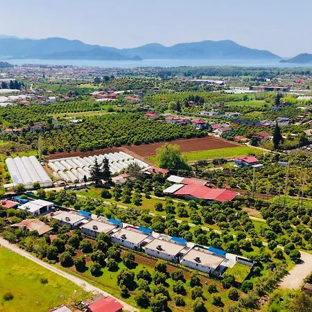 Villa Terasa